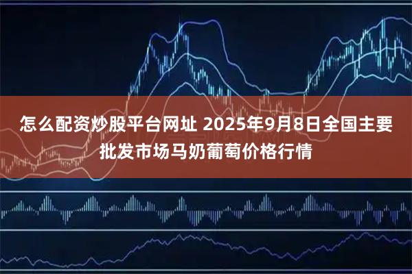 怎么配资炒股平台网址 2025年9月8日全国主要批发市场马奶葡萄价格行情