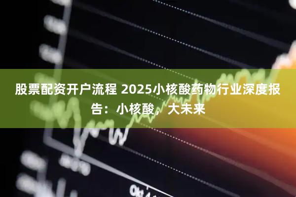 股票配资开户流程 2025小核酸药物行业深度报告：小核酸，大未来